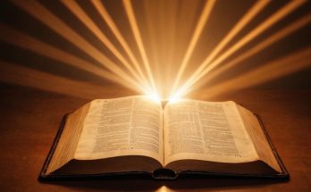 555 Bedeutung Bibel » Neuanfang nach biblischer Lehre