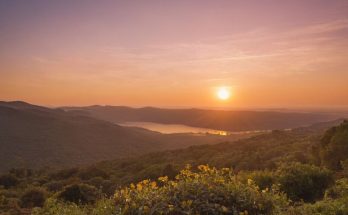 Engelszahl 2020 Bedeutung » Hoffnung und Neubeginn erkennen