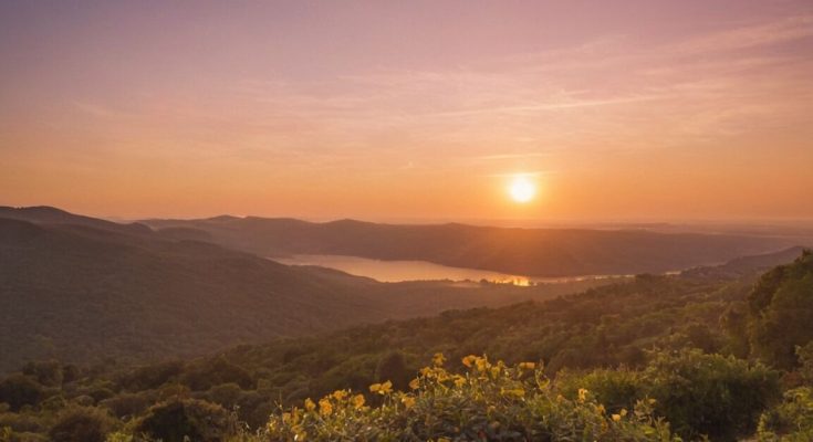Engelszahl 2020 Bedeutung » Hoffnung und Neubeginn erkennen